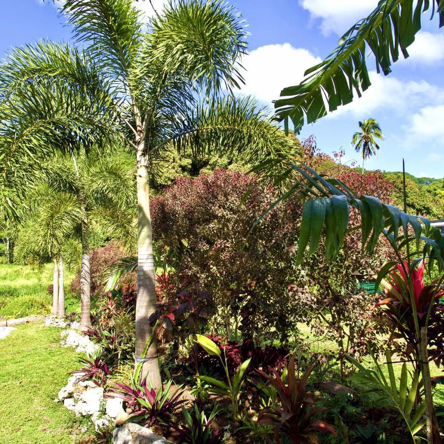 'Are Pepe One Bedroom Container Style Unit Rarotonga Exterior foto